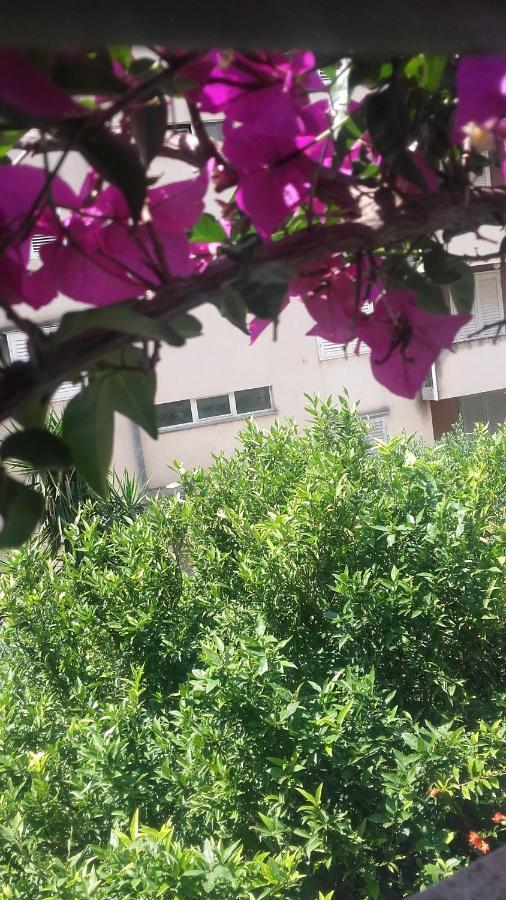 Centar Guest House Makarska Ngoại thất bức ảnh